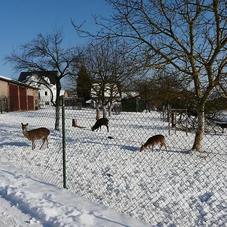 Udo Und Stefani Laux Apartment Berg (Rhein-Lahn)