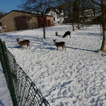 Udo Und Stefani Laux *