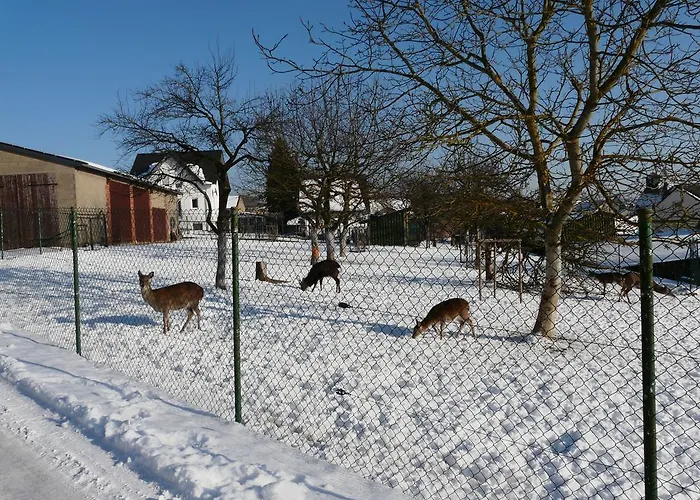Udo Und Stefani Laux 아파트 Berg (Rhein-Lahn)