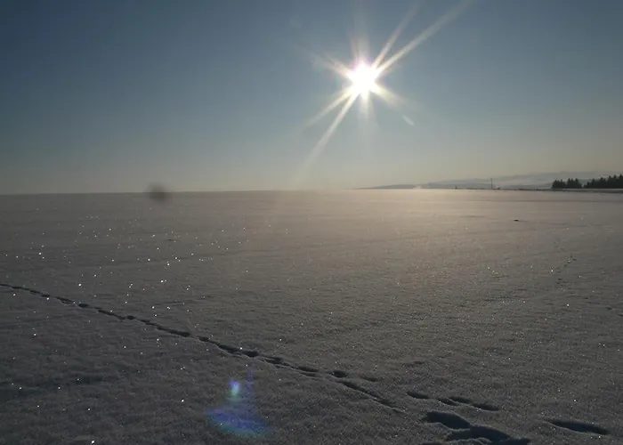 Udo Und Stefani Laux *